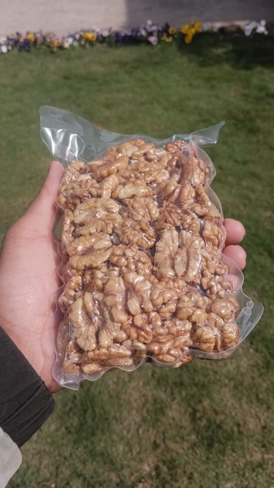 Kashmiri Walnut Kernel