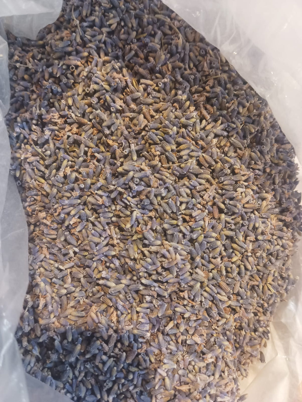 Kashmiri Lavender Oil