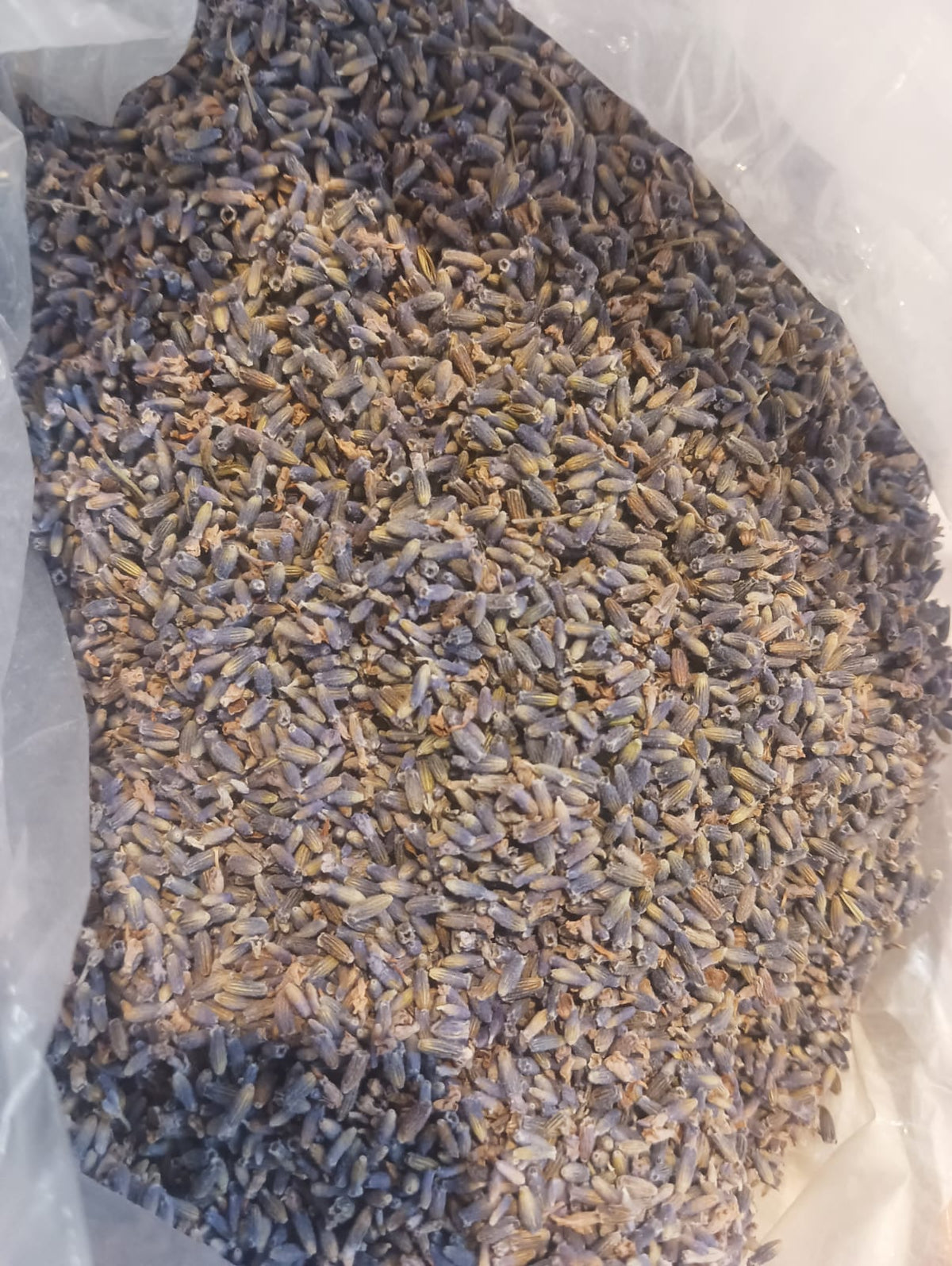 Kashmiri Lavender Oil