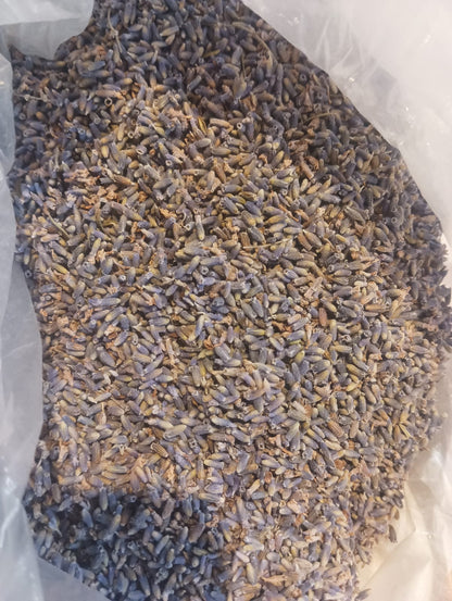 Kashmiri Lavender Oil