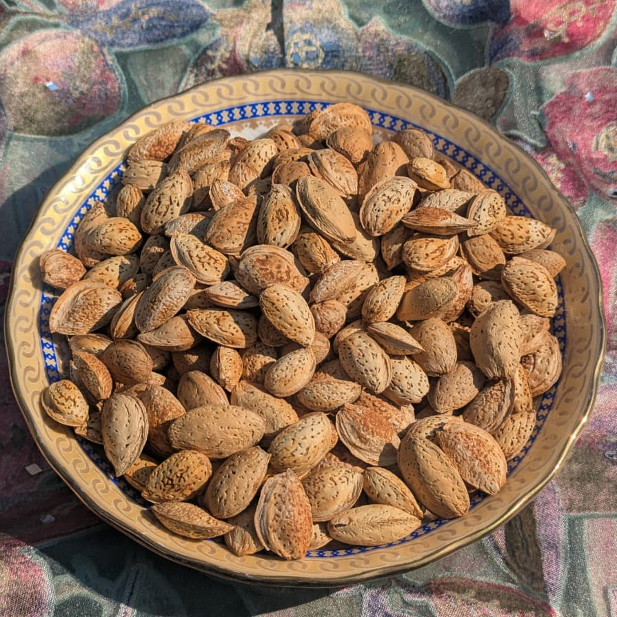 Kagzi Badaam