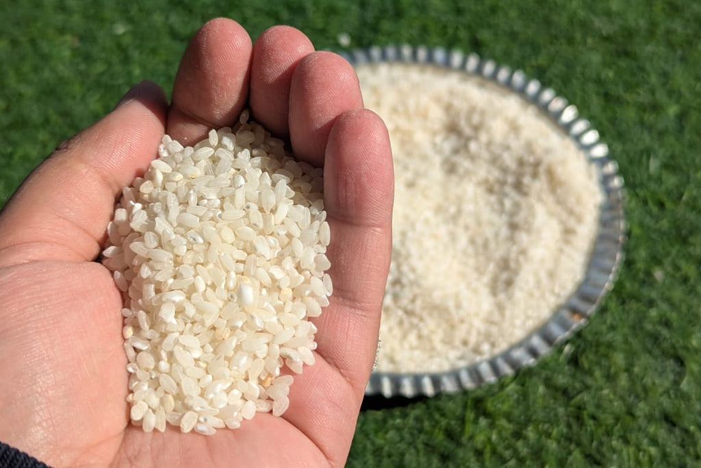 Kashmiri Muski Bhudji Rice