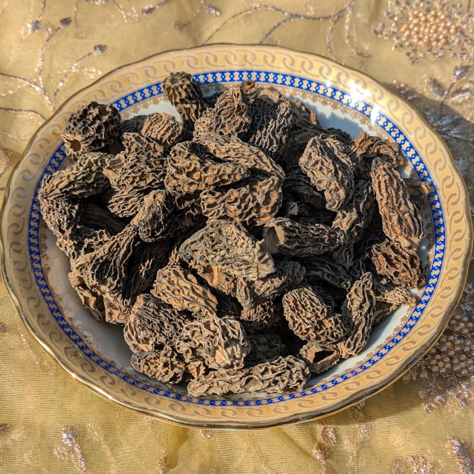 Gucchi Mushroom (Mix Variety)