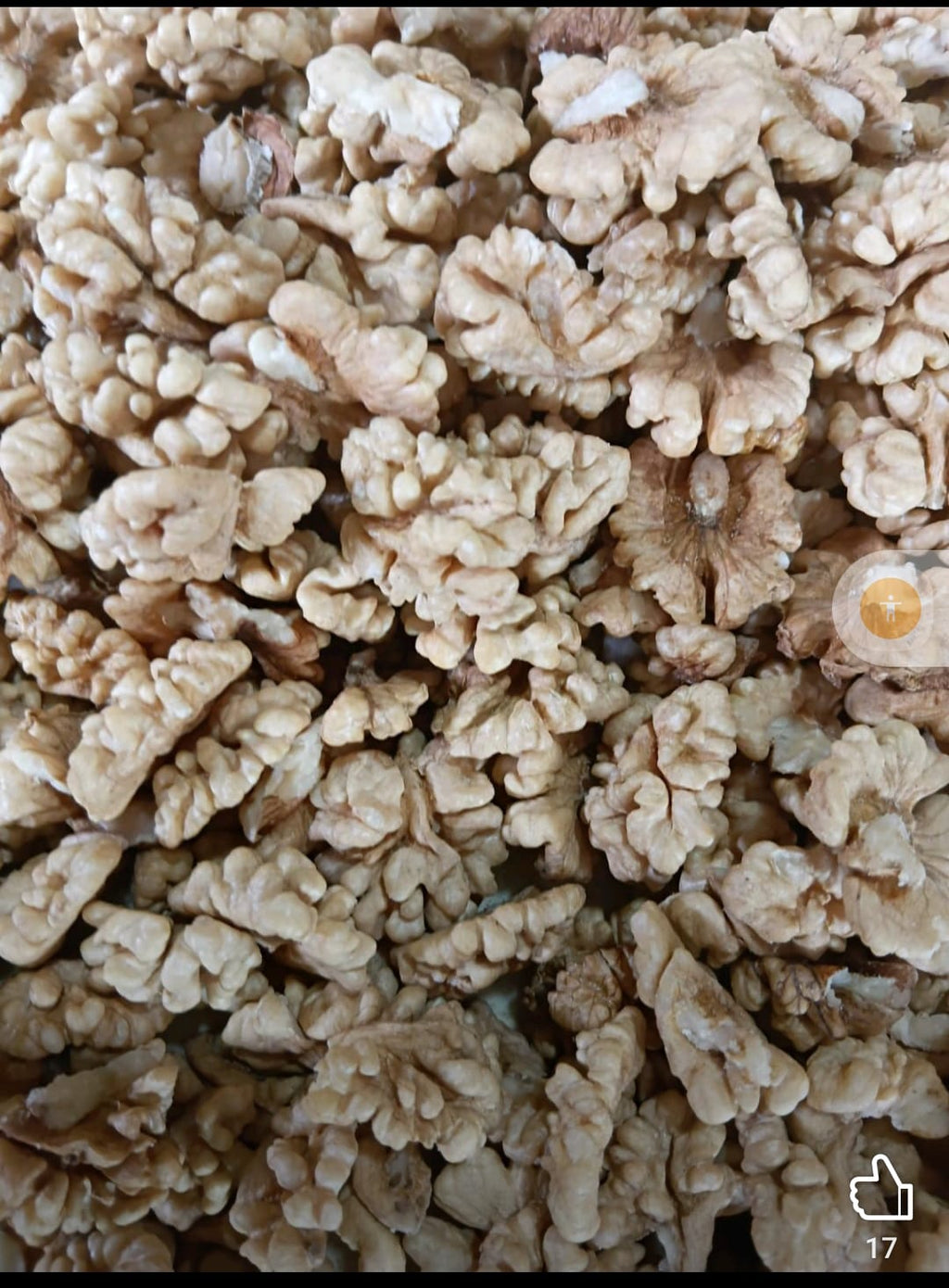 Kashmiri Walnut Kernel