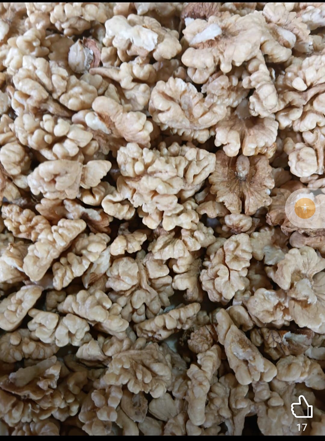 Kashmiri Walnut Kernel