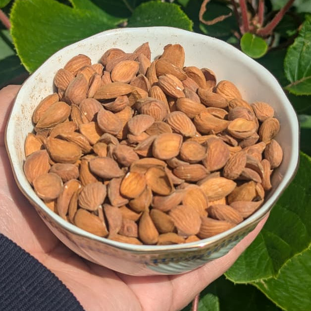 Kashmiri Curved Mamra Badam