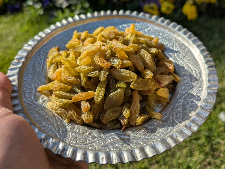 Green Kishmish (long)