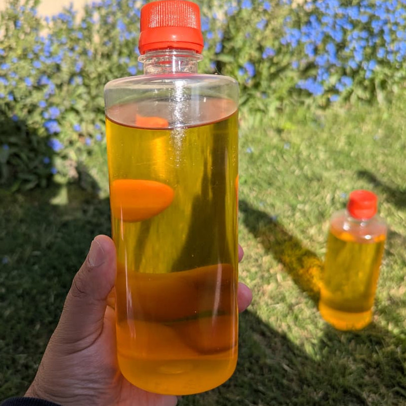 Kashmiri Apricot Oil
