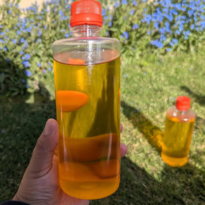 Kashmiri Apricot Oil