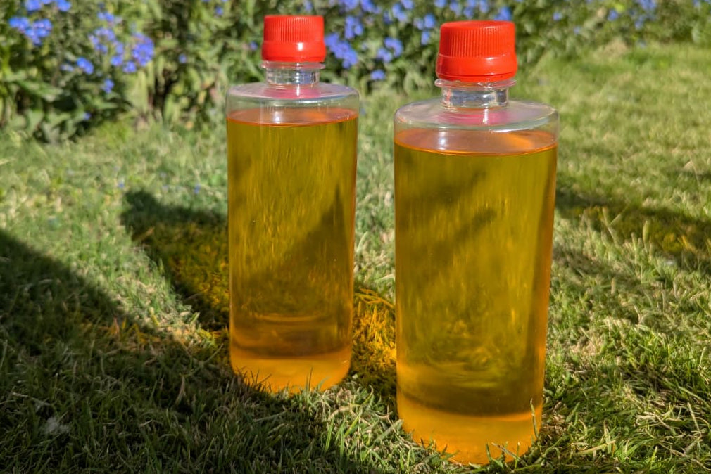 Kashmiri Apricot Oil